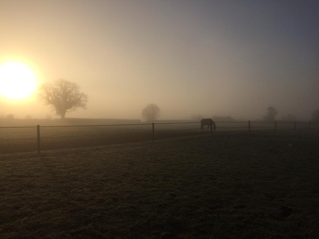 Great Ashley Farm Bed And Breakfast & Shepherds Huts Bradford-On-Avon Bagian luar foto